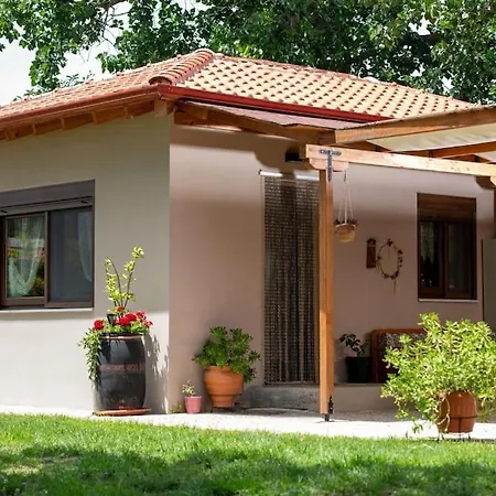 Nerium - Golden Fig Sykia Holiday home *